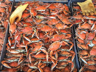 crabs at market © Jaimie Tuchman