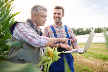 Crop plant examined by two farmers © gpointstudio
