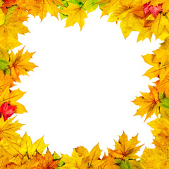 Herbstblätter als Rahmen vor weißem Hintergrund