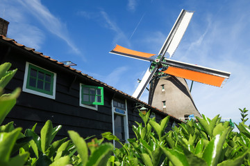 Windmühlen in der Nähe von Amsterdam