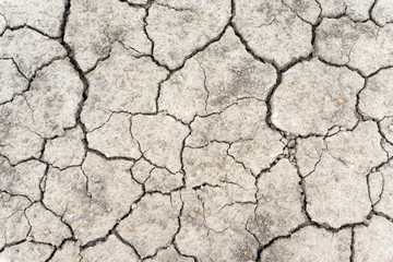 Crack soil on dry season, Global warming / cracked dried mud / Dry cracked earth background / The cracked ground, Ground in drought, Soil texture and dry mud, Dry land.