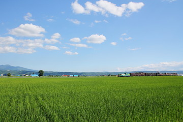 北海道