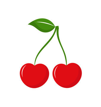 Cherry icon vector