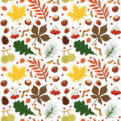 Vector seamless pattern with autumn leaves and berries