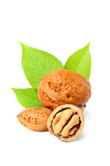 Walnuts and almonds isolated.