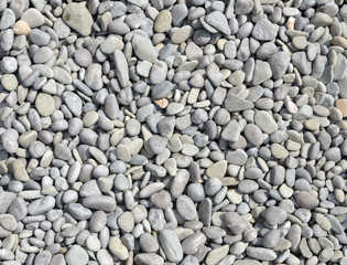 Close-up view of grey pebble as background.