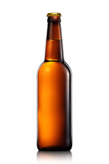 Bottle of beer or cider isolated on white background