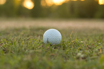 Golf ball laying on the grass.