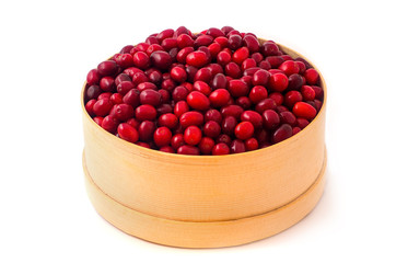 dogwood berries with clipping path