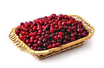 dogwood berries with clipping path