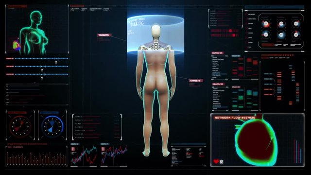 Rotating Female Human cardiovascular system, skeletal structure, bone system in digital display dashboard. Blue X-ray light.