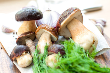 Cooking soup-delicious porcini mushrooms on wooden background. B