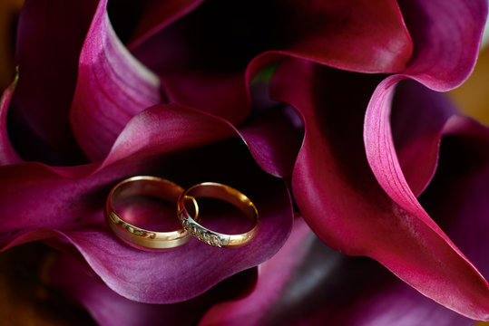 wedding rings closeup on the flowers Calla