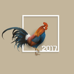 Rooster - symbol of 2017 Chinese calendar with paper frame
