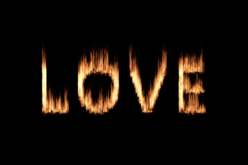 Naklejka premium Otter crouching on timber, cute small animal in the zoo.