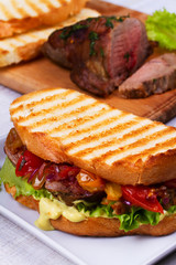 Beef Sandwich with Tomatoes, Coriander, Red Onion and Green Salad