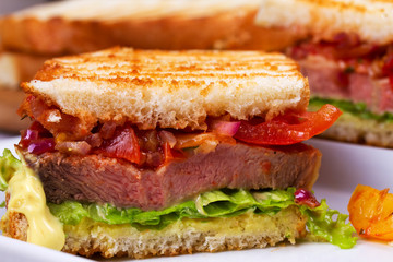 Beef Sandwich with Tomatoes, Coriander, Red Onion and Green Salad