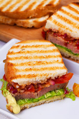 Beef Sandwich with Tomatoes, Coriander, Red Onion and Green Salad