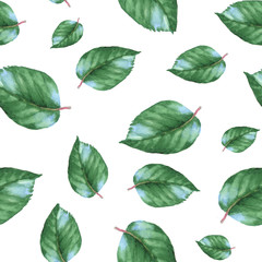 Hand-drawn watercolor seamless pattern with fresh green leaves. Light repeated pattern for wallpapers or the textile print.