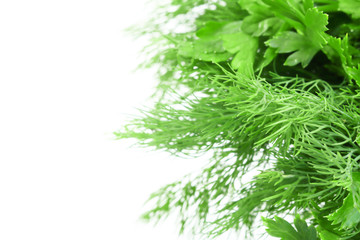 Different fresh herbs, parsley and dill. Macro photo. Copy space