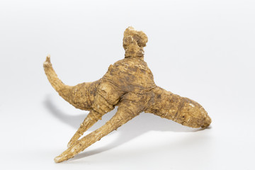 Fototapeta premium Ginseng root's shape look like a woman on white background