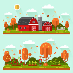 Flat design vector autumn landscape illustrations with farm barn, bench, leaf fall. Garden with beds of carrots, tomatoes, gardener. Farming, agricultural, organic products concept.