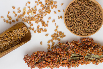 Wheat in wooden spoon, branch sorghum and buckwheat 