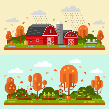 Flat design vector autumn landscape illustrations with barn, bench, rain, puddles, leaf fall. Garden with beds of carrots, tomatoes, gardener. Farming, agricultural, organic products concept.