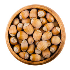 Unshelled common hazelnuts in a wooden bowl on white background. Ripe seeds of Corylus avellana, species native in Europe. Edible raw fruits with shells. Isolated macro food photo close up from above.