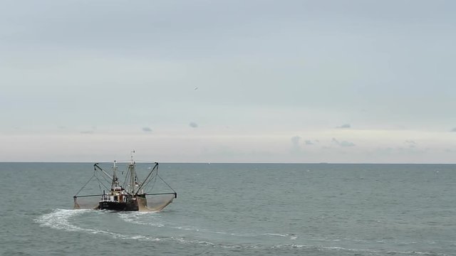 WIDE ungraded shot of shrimp fishing trawler moving towards the horizon