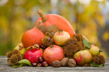 autumn fruits