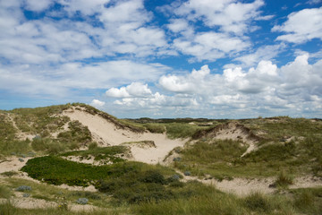 Dünenlandschaft 