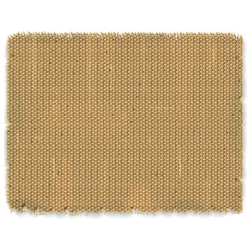 Vector Sackcloth Frame