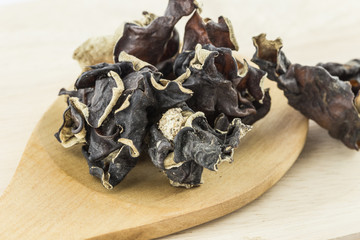 dried judae mushroom.