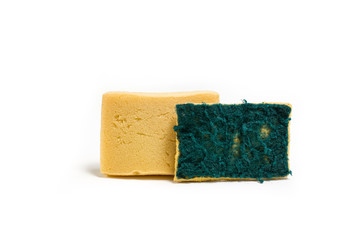 old used sponge.