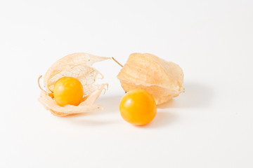 pair of physalis