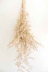 hang dried grass on white wall, home cafe minimal decoration.