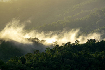Morning Mist at Tropical Mountain Range ,chiangmai Thailand