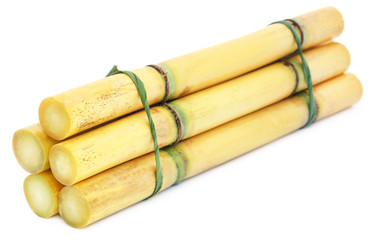 Piece of sugarcane