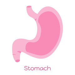 Stomach illustration in flat style. Viscera icon, internal organ