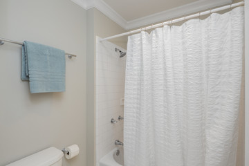 Shower curtain and towel.