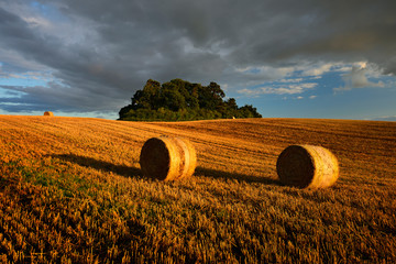 Bales of Straw in Stubble Field during Harvest, Warm Light of the Setting Sun, Summer Landscape...
