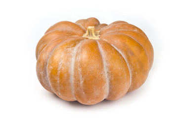 orange pumpkin on a white background for isolation