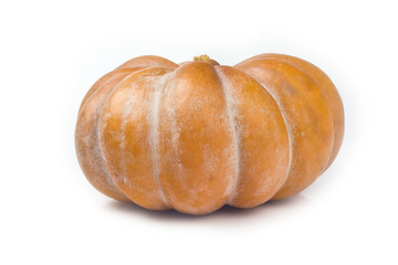 orange pumpkin on a white background for isolation
