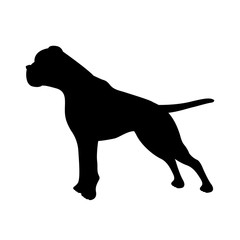 Boxer dog breed profile vector illustration