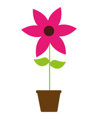 beautiful flower drawing isolated vector illustration design