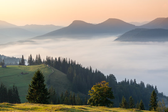 Foggy Sunrise morning in the mountains © DmytroKos