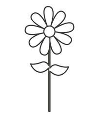 beautiful flower drawing isolated vector illustration design