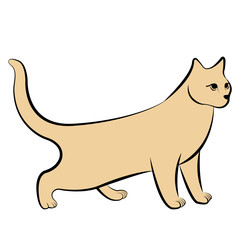 vector illustration cat yellow line