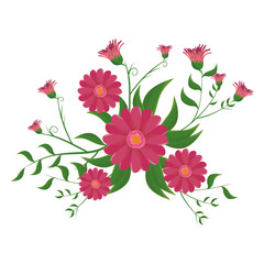 floral natural and beautiful flowers with green leaves. vector illustration